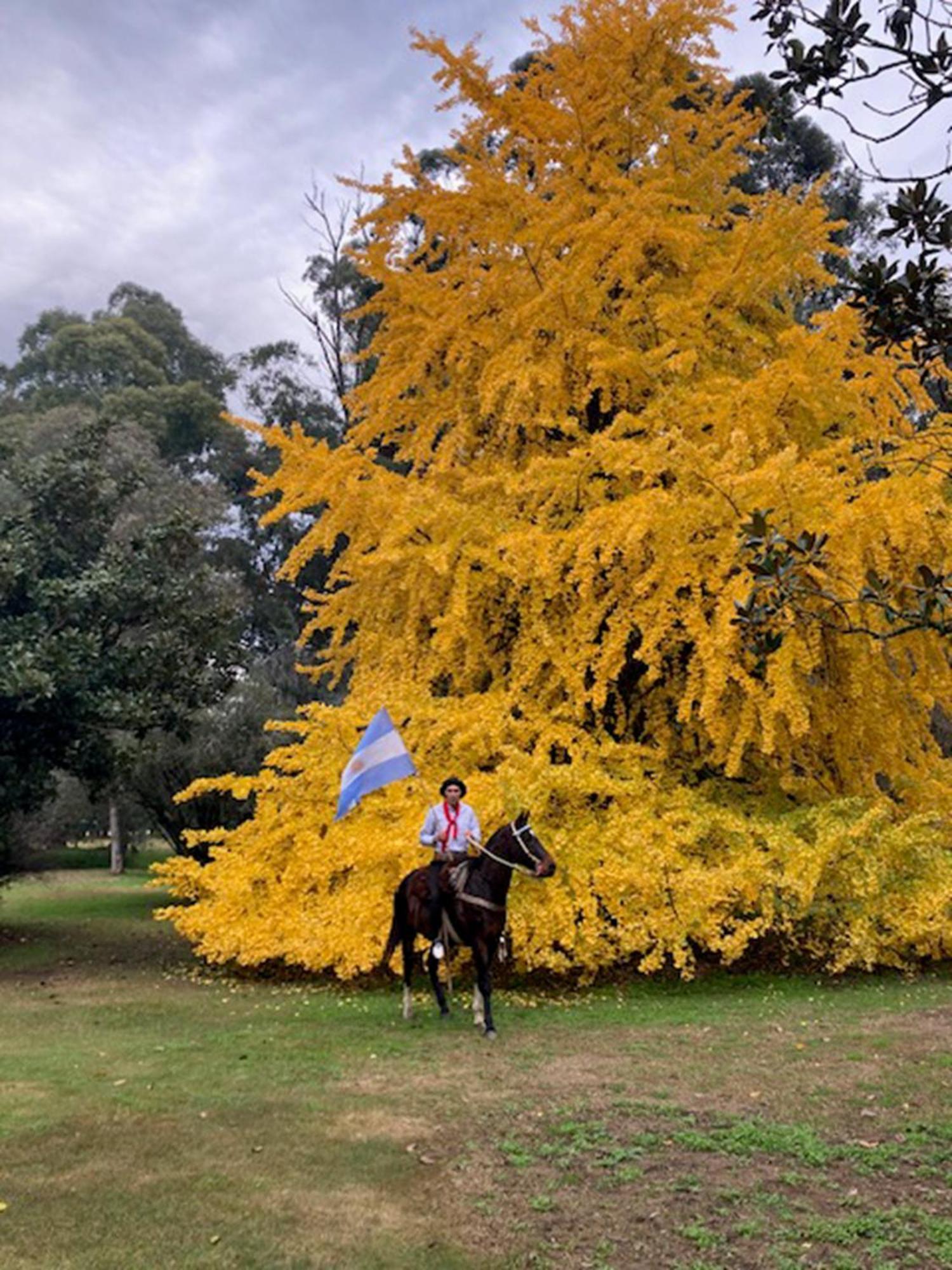 Estancia Villa Maria Ezeiza Exterior foto